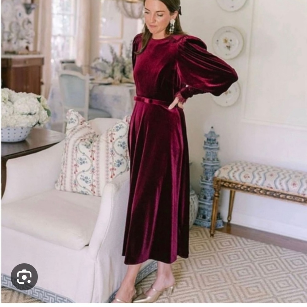 Antonio Melani Nicola Bathie Velvet dress
